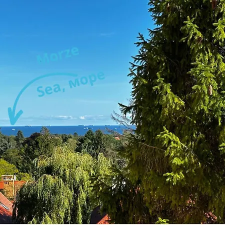 Deer - 5 Minutes To Molo & Seaside * Sopot