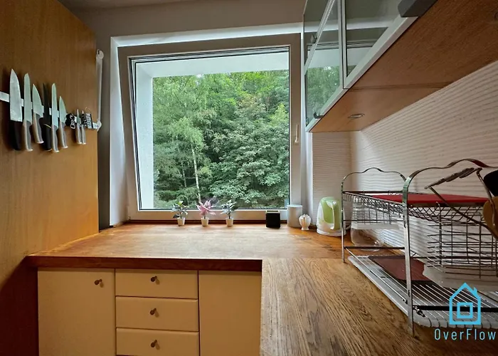 Homestay Deer - 5 Minutes To Molo & Seaside